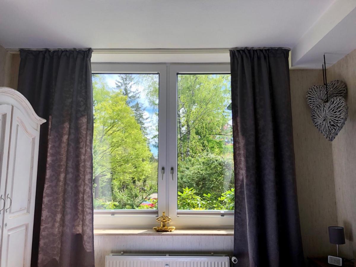 Harzromantik Lejlighed Braunlage