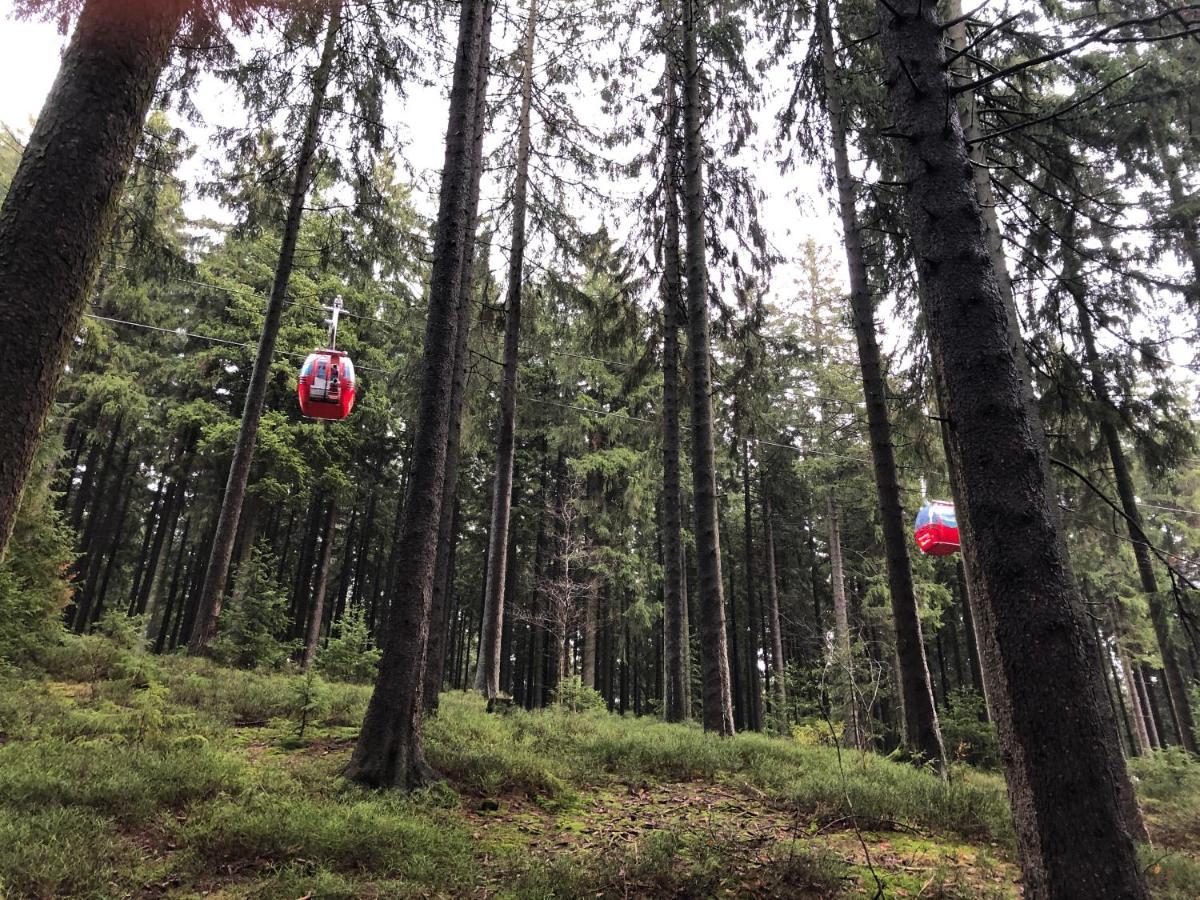 Lejlighed Harzromantik Braunlage