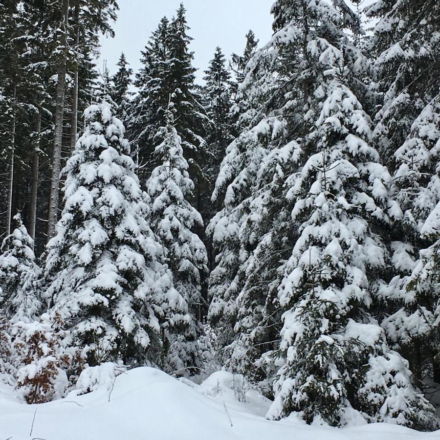 Harzromantik Braunlage